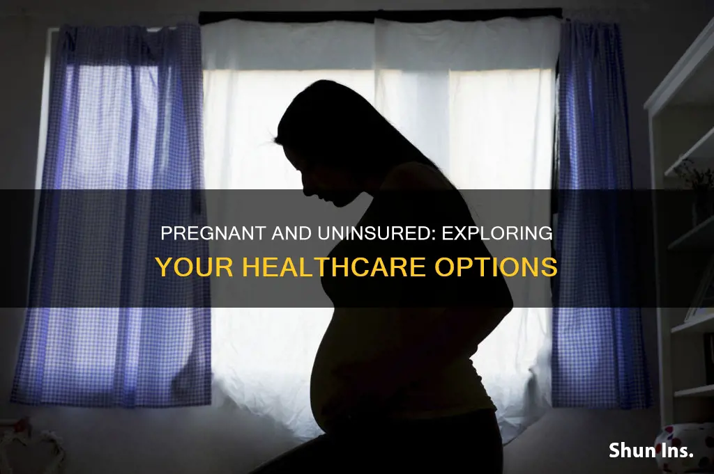 where to go if pregnant and no insurance