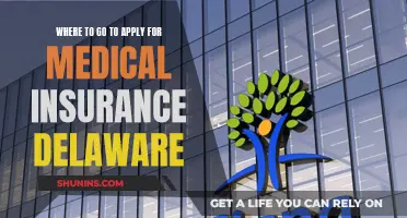 Delaware Medical Insurance: Where to Apply