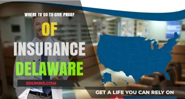 Proof of Insurance: Delaware's Requirements and Locations