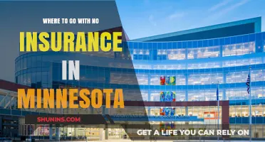 Minnesota's Uninsured: Where to Seek Treatment