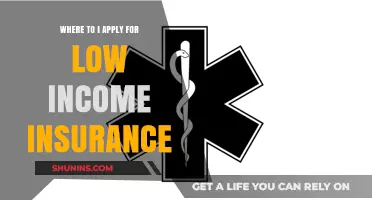 How to Apply for Low-Income Insurance