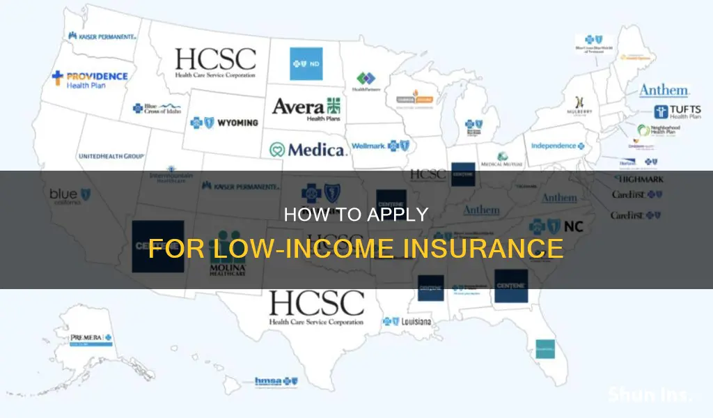 where to I apply for low income insurance
