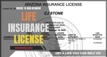 Navigating Non-Resident Life Insurance Licensing: Global Insights