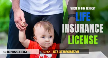 Life Insurance License: Non-Resident Options and Requirements