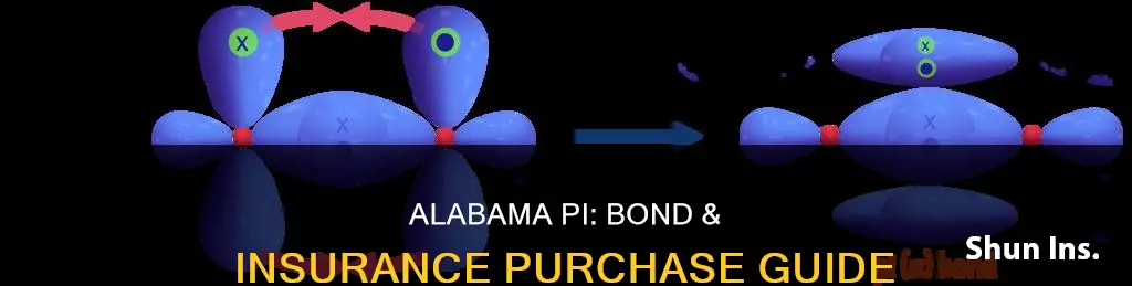 where to purchase alabama private investigator bond & insurance