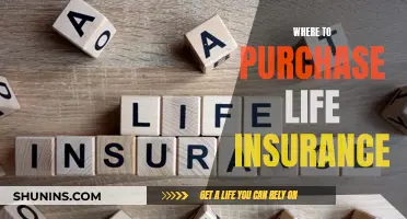 Life Insurance: Where to Purchase and What to Consider