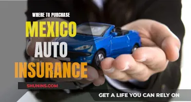 Best Places to Buy Mexico Auto Insurance