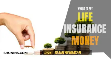 Life Insurance Money: Where Should You Invest?