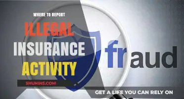 Report Insurance Fraud: Know Where to Turn