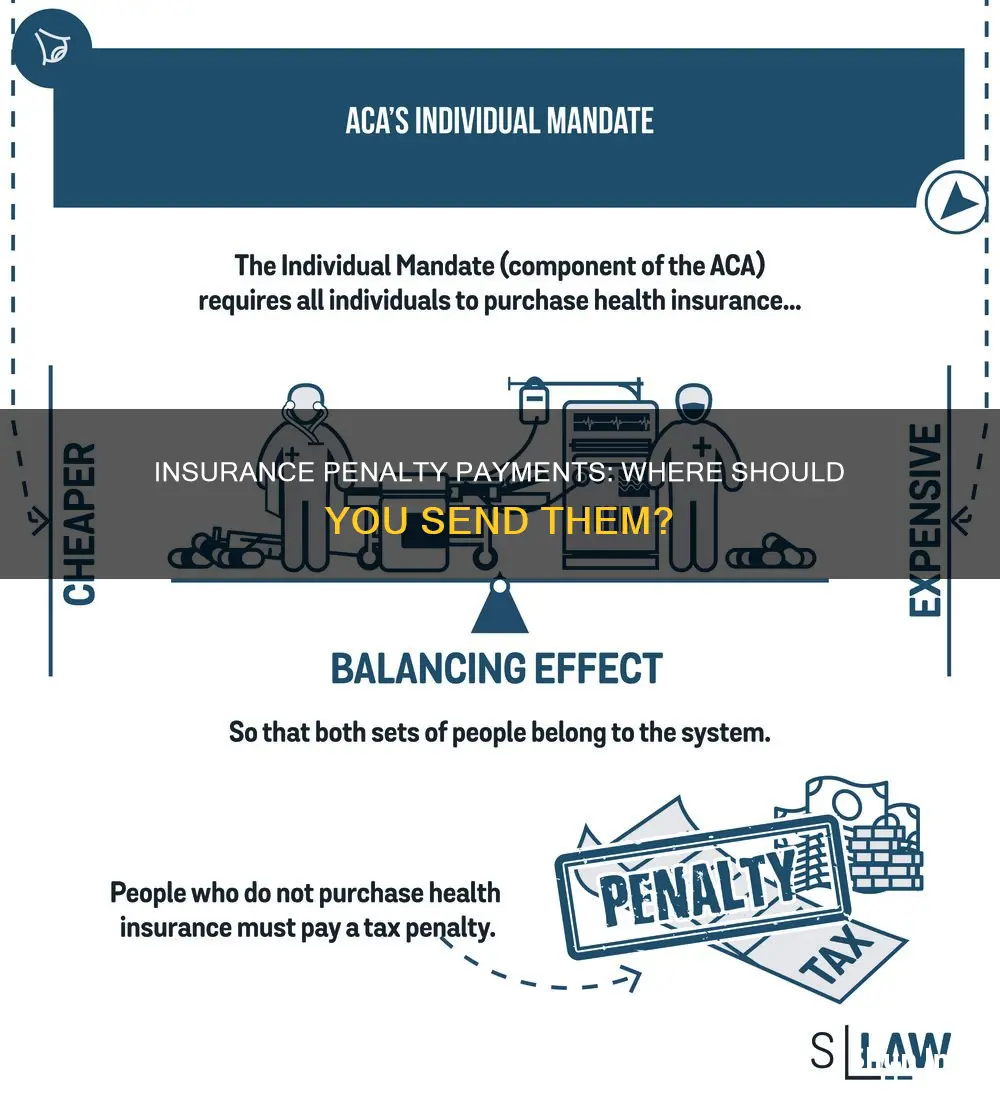 where to send insurance penalty payments