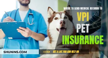 VPI Pet Insurance: Where to Send Medical Records?