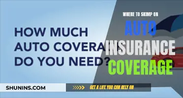 Strategies to Save: Auto Insurance Coverage You Can Skip