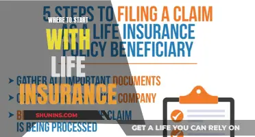 Life Insurance: Where to Begin and What to Know