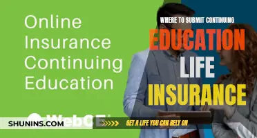 Life Insurance CE: Top Platforms for Professional Development