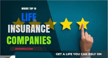 Top Life Insurance Companies: A Comprehensive Guide to the Best 10