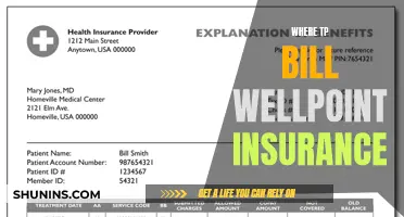 Navigating the Ins and Outs of Billing Wellpoint Insurance