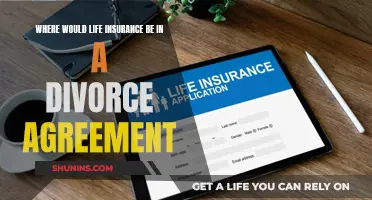 Life Insurance: Divorce Agreement Essential?