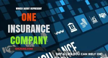 Understanding Captive Agents: Representing One Insurance Company Exclusively