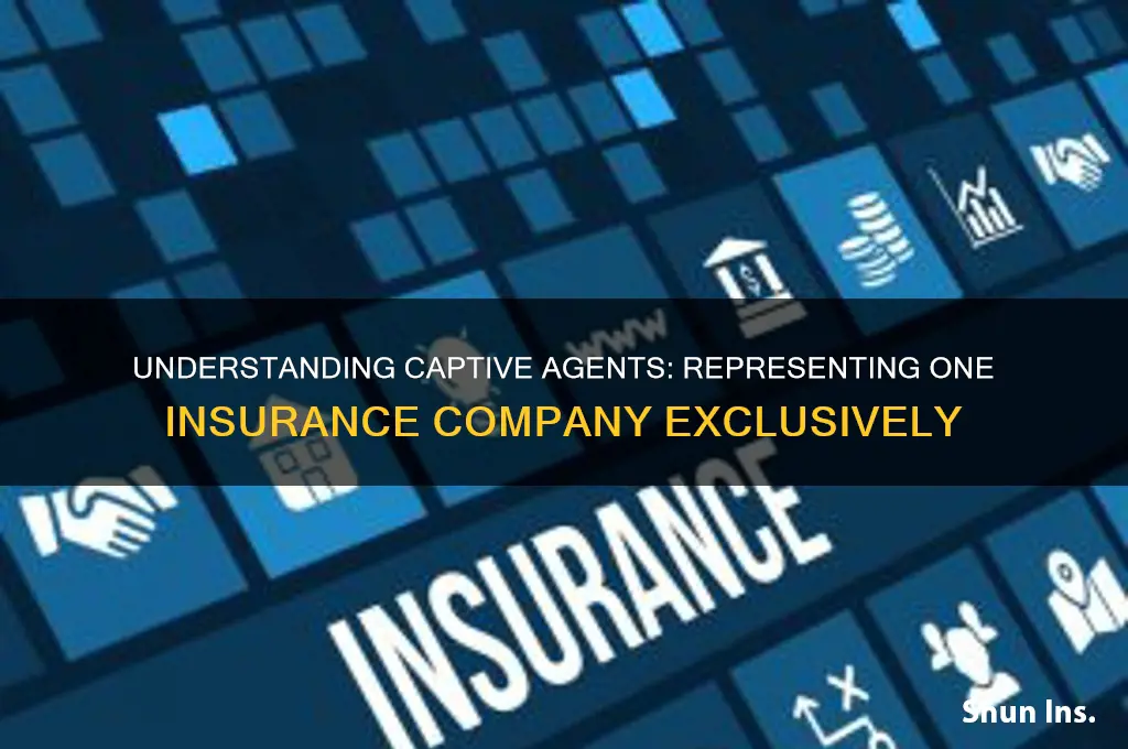which agent represent one insurance company