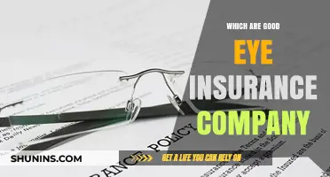 Top Eye Insurance Companies: Protecting Your Vision and Wallet