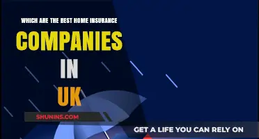 Top UK Home Insurance Providers: A Comprehensive Guide to the Best