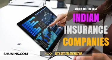 Top Indian Insurance Companies: A Comprehensive Guide to the Best Providers