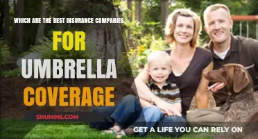 Top Umbrella Coverage Providers: Best Insurance Companies for Comprehensive Protection