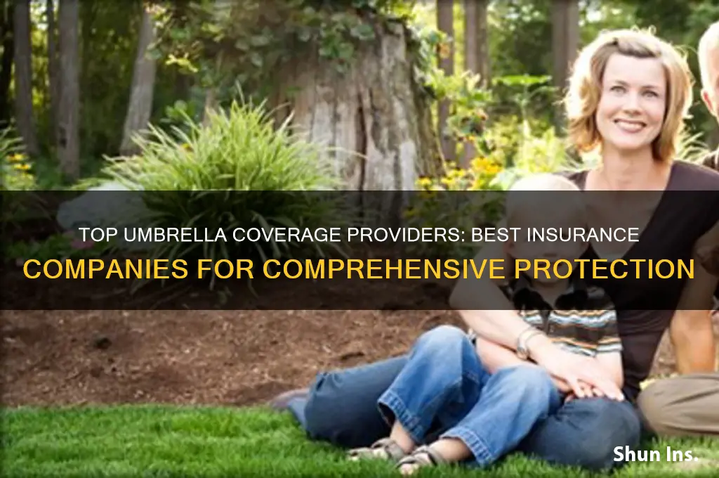 which are the best insurance companies for umbrella coverage