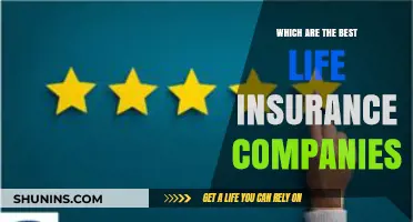 Top Life Insurance Companies: Secure Your Future with Trusted Providers