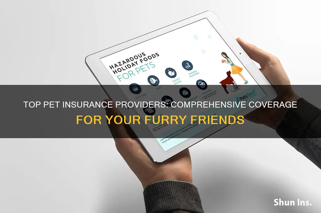 which are the best pet insurance companies