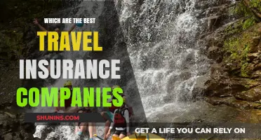 Top Travel Insurance Companies for Stress-Free Adventures Worldwide