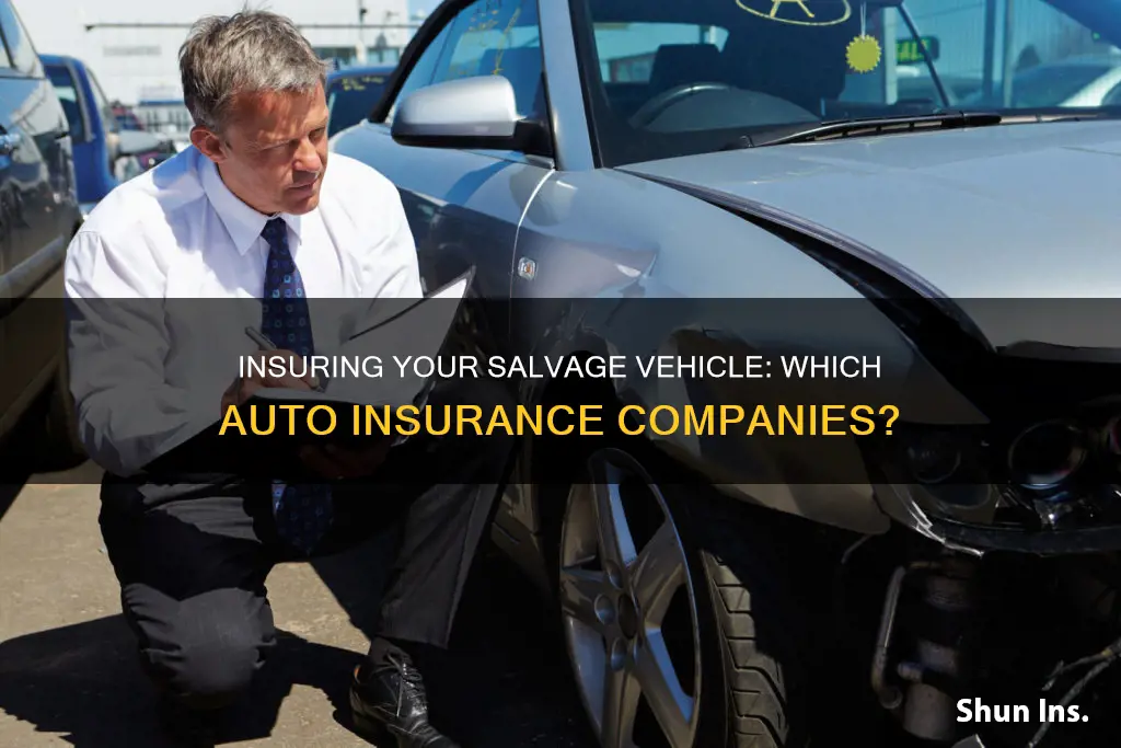 which auto ins ins companies insure salvage vehicles