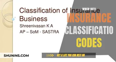 Understanding Auto Insurance Codes: Classification and Its Importance