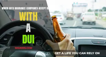 Best Auto Insurance Companies for Drivers with a DUI