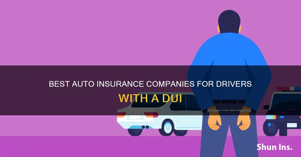 which auto insurance companies accept drivers with a dui