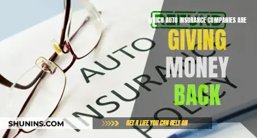 Auto Insurance Refunds: Which Companies are Giving Back?