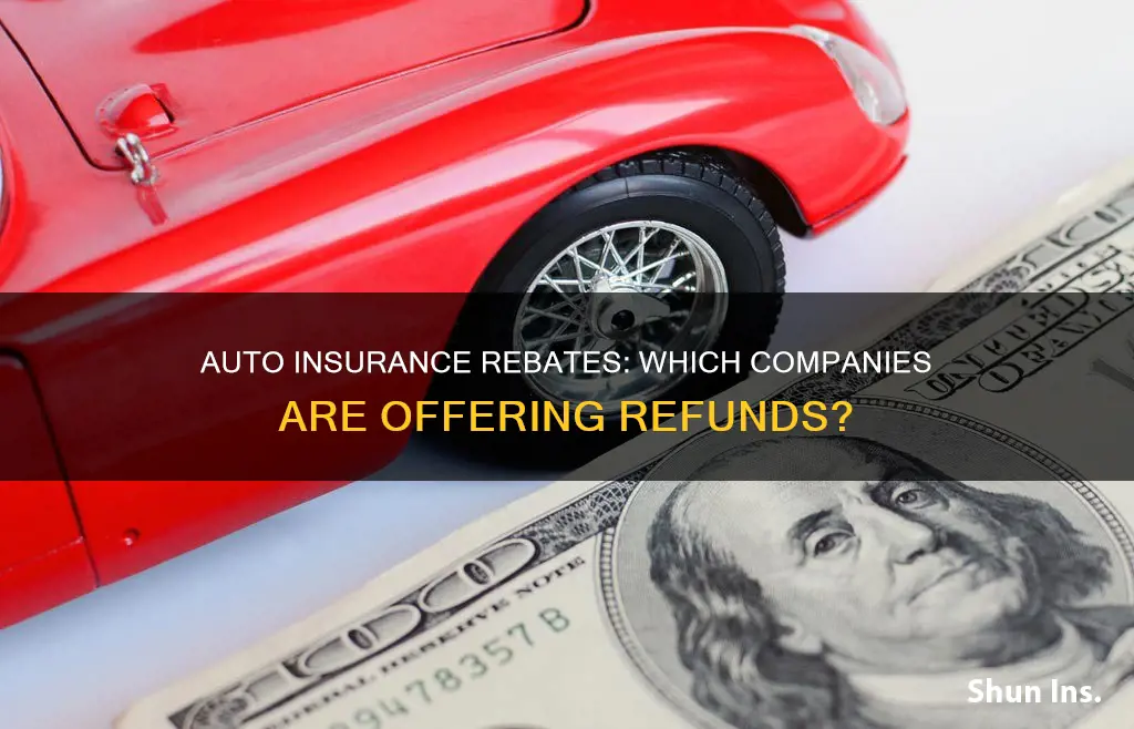 which auto insurance companies are giving rebates