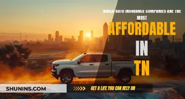 Finding Affordable Auto Insurance in Tennessee