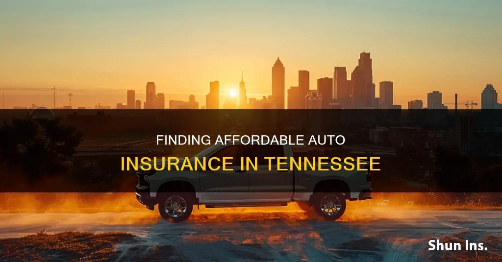 which auto insurance companies are the most affordable in tn