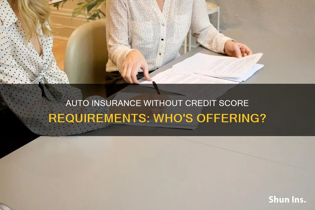 which auto insurance companies do not use credit scores