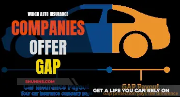 Best Auto Insurance Companies Offering Gap Coverage