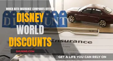 Disney World Discounts: Auto Insurance Companies Offering Deals