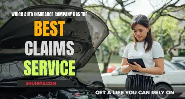 Best Auto Insurance Claims: Top Companies for Easy Process