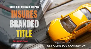 The Best Auto Insurance Companies for Branded Titles