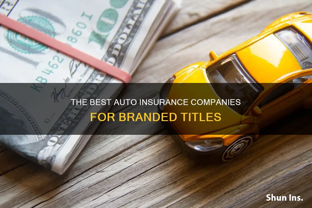 which auto insurance company insures branded title