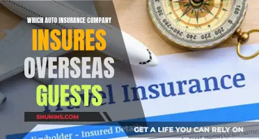 Auto Insurance for Overseas Guests: Who's Covered?