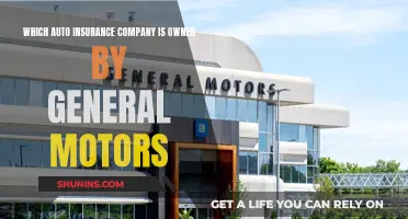 General Motors' Auto Insurance Company: Who Owns It?