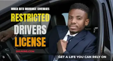 Restricted Licenses: Auto Insurance Coverage for Young Drivers