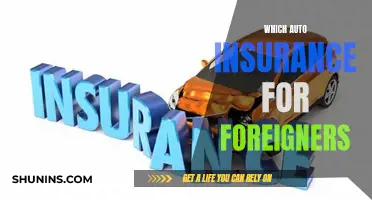 Auto Insurance for Foreigners: What You Need to Know