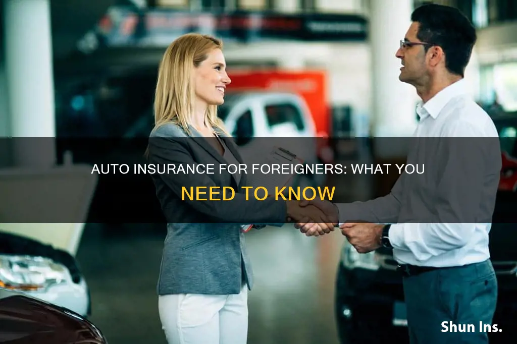 which auto insurance for foreigners